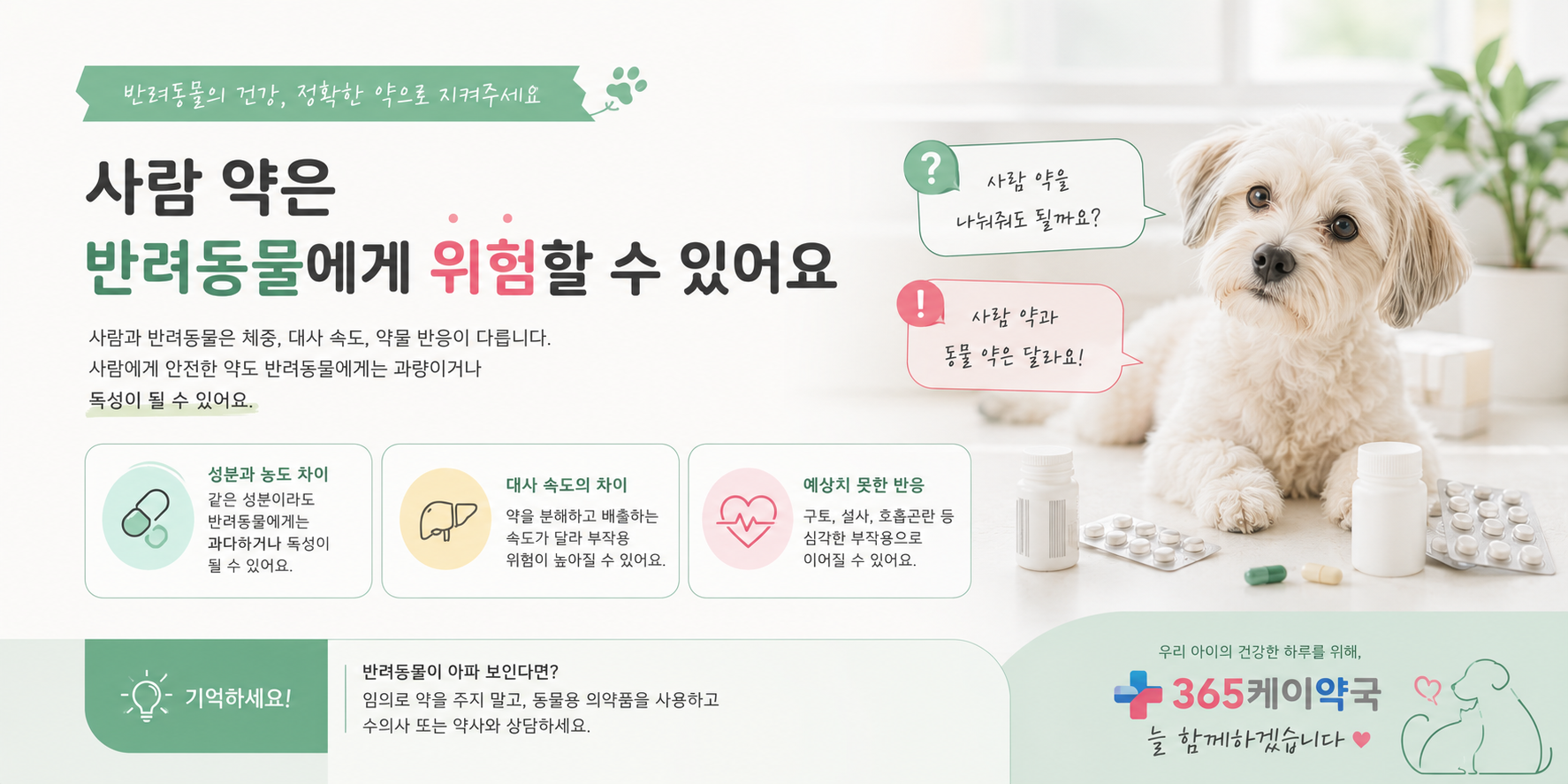 집에 있는 상비약, 반려동물에게 줘도 될까요?